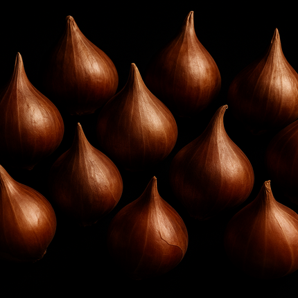 Collection image for: Bloembollen