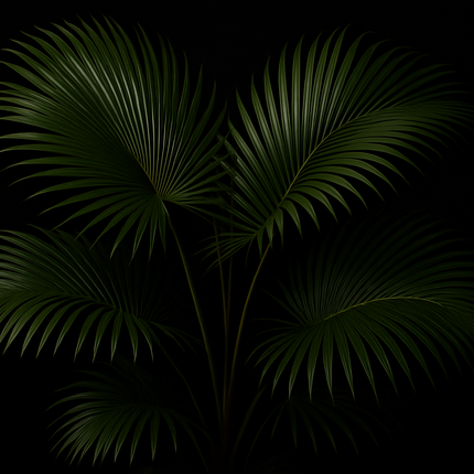 Collection image for: Tuinplanten