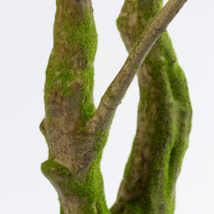 Luxe kunstplant - Zijden Pachira Plant – 180 cm