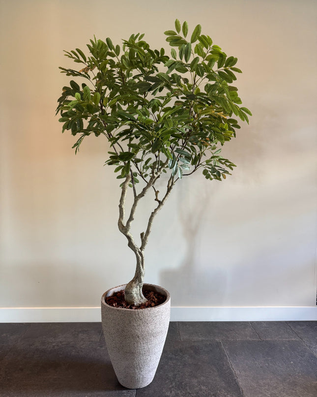 Luxe Kunstplant - Zijden Khaya – 180 cm