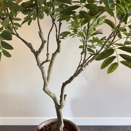 Luxe Kunstplant - Zijden Khaya – 180 cm