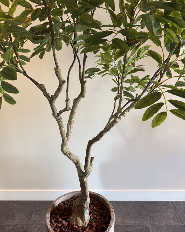 Luxe Kunstplant - Zijden Khaya – 180 cm