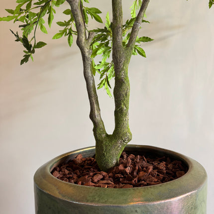 Luxe Kunstplant - Zijden Aralia Plant 175 cm