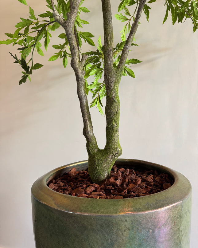 Luxe Kunstplant - Zijden Aralia Plant 175 cm