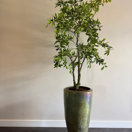 Luxe Kunstplant - Zijden Aralia Plant 175 cm