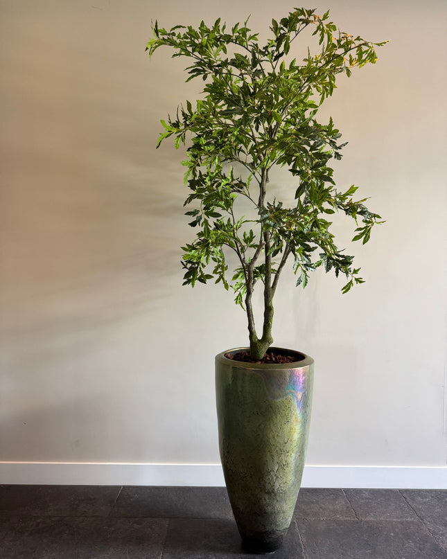 Luxe Kunstplant - Zijden Aralia Plant 175 cm