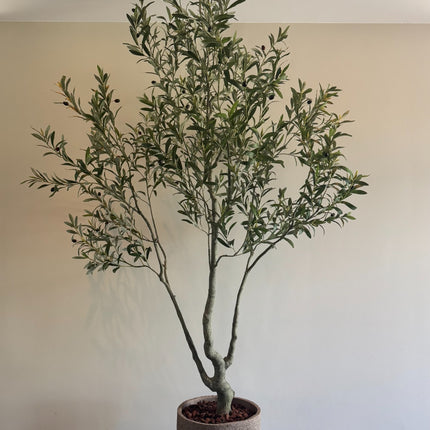 Luxe Kunstplant - Zijden Olijfboom – 240 cm