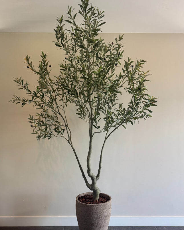 Luxe Kunstplant - Zijden Olijfboom – 240 cm