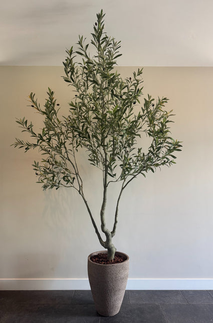 Luxe Kunstplant - Zijden Olijfboom – 240 cm