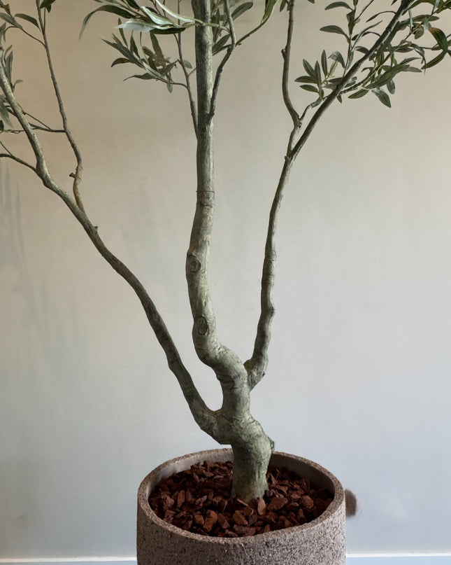 Luxe Kunstplant - Zijden Olijfboom – 240 cm