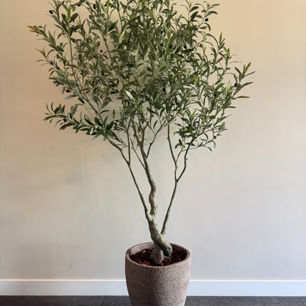 Luxe Kunstplant - Zijden Olijfboom – 210 cm