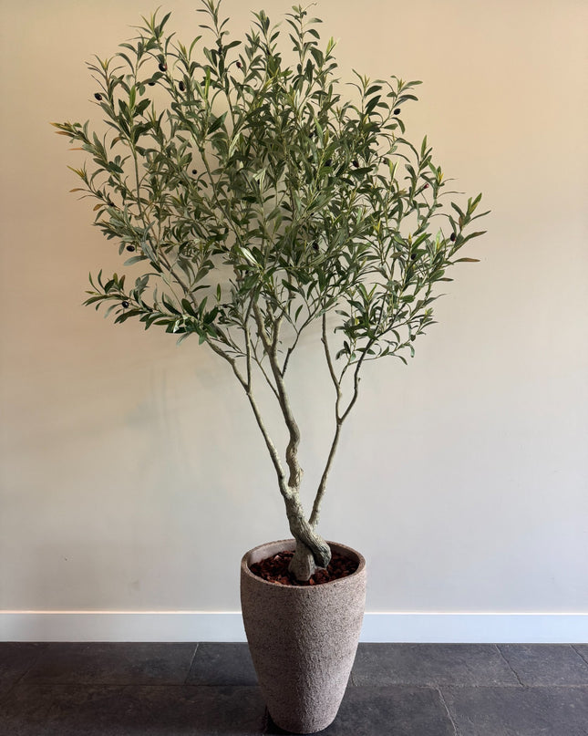 Luxe Kunstplant - Zijden Olijfboom – 210 cm