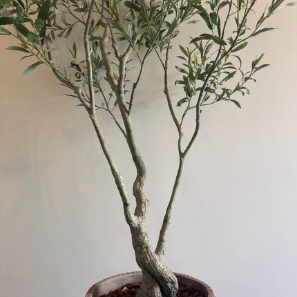 Luxe Kunstplant - Zijden Olijfboom – 210 cm