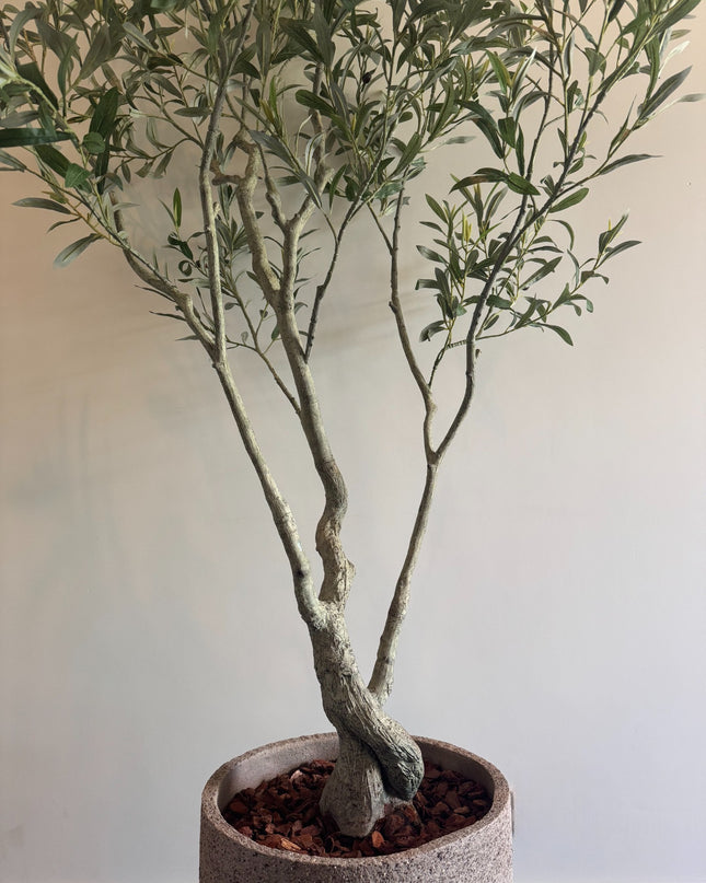 Luxe Kunstplant - Zijden Olijfboom – 210 cm