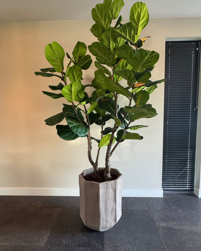 Luxe kunstplant - Zijden Ficus Lyrata – 220 cm