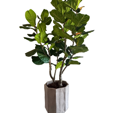 Luxury artificial plant - Silk fiddle-leaf fig – 220 cm