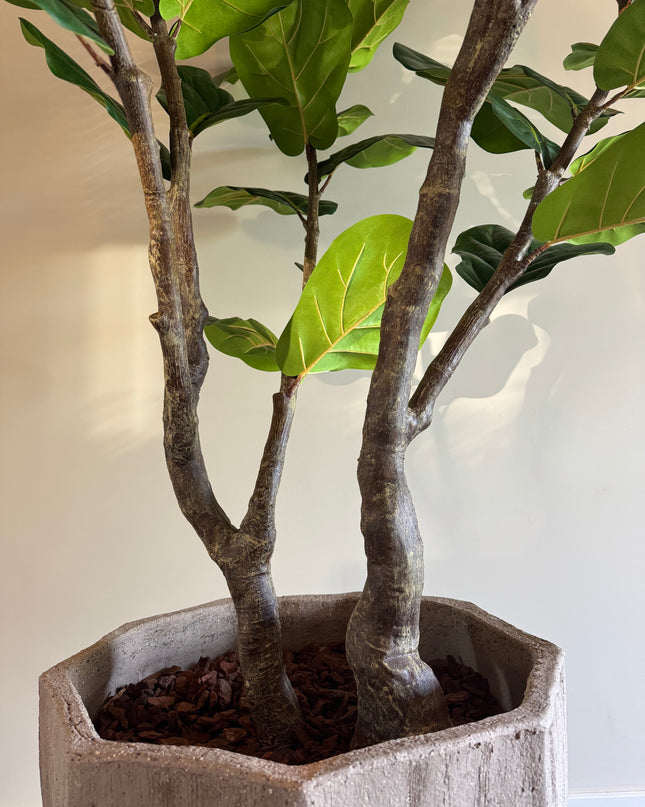 Luxe kunstplant - Zijden Ficus Lyrata – 220 cm