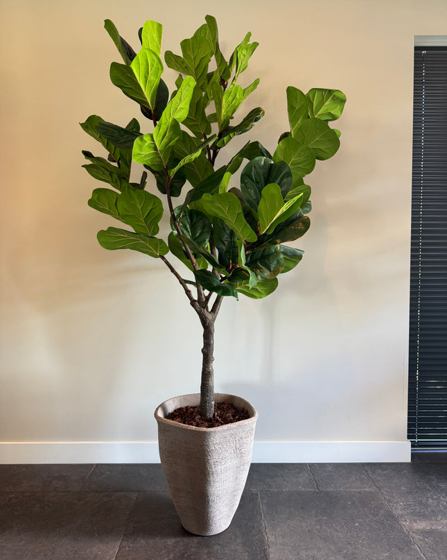 Luxe kunstplant - Zijden Ficus Lyrata – 200 cm