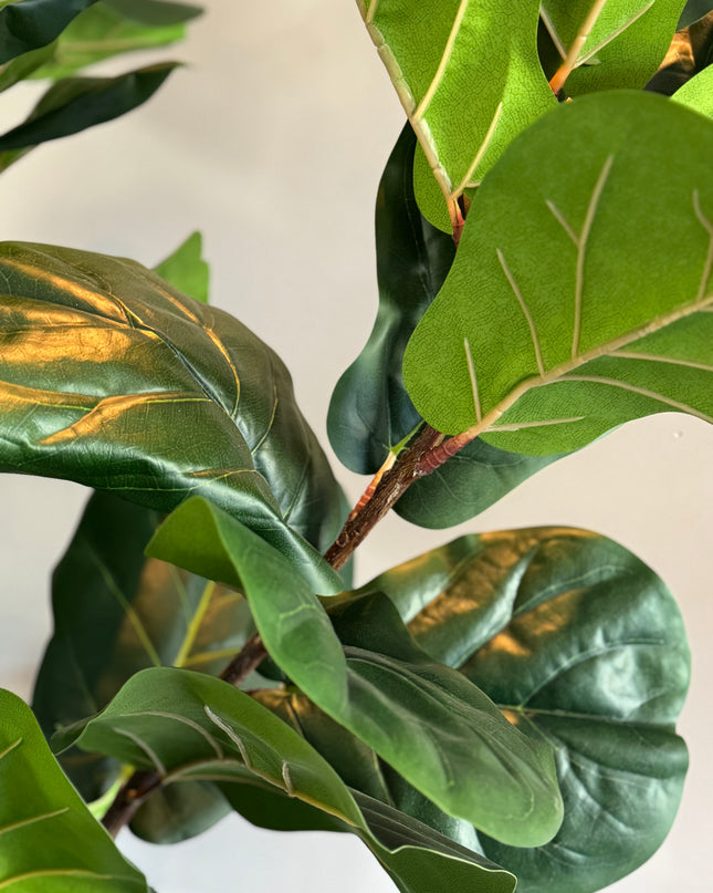 Luxe kunstplant - Zijden Ficus Lyrata – 200 cm
