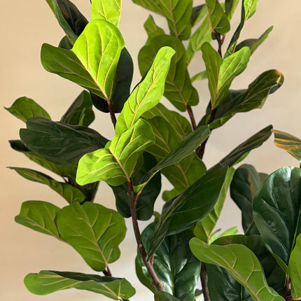 Luxe kunstplant - Zijden Ficus Lyrata – 200 cm