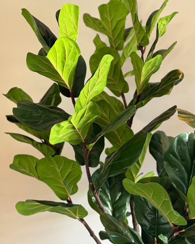 Luxe kunstplant - Zijden Ficus Lyrata – 200 cm