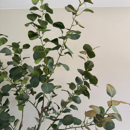 Luxe Kunstplant - Zijden Eucalyptus plant – 155 cm