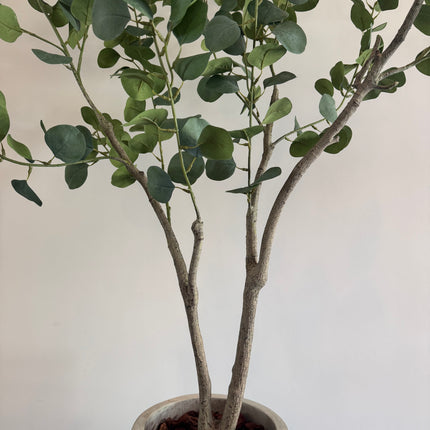 Luxe Kunstplant - Zijden Eucalyptus plant – 155 cm