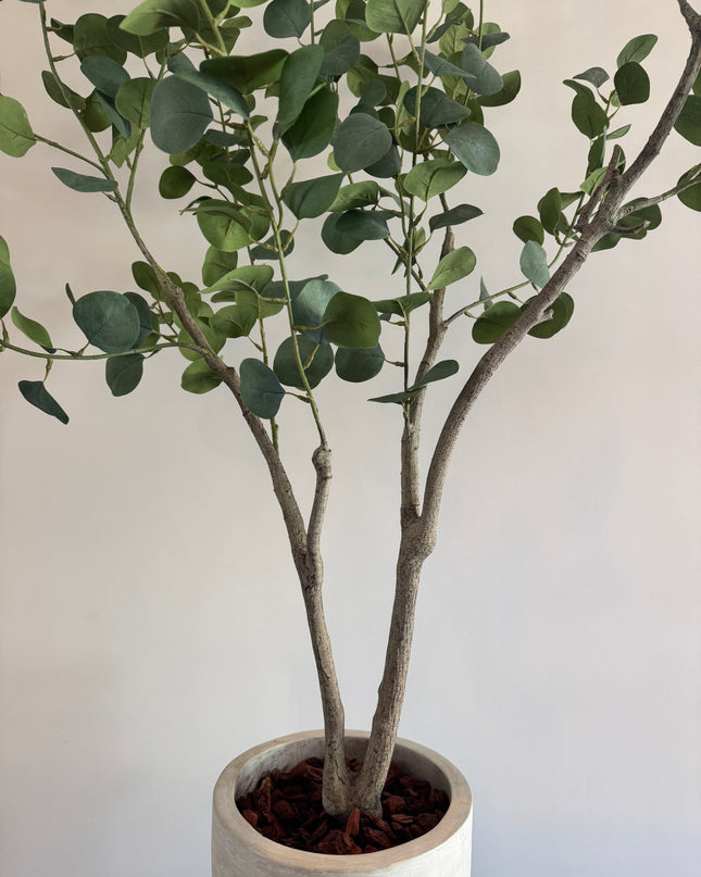 Luxury Artificial Plant - Silk Eucalyptus Plant – 155 cm