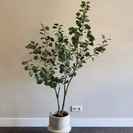 Luxe Kunstplant - Zijden Eucalyptus plant – 155 cm