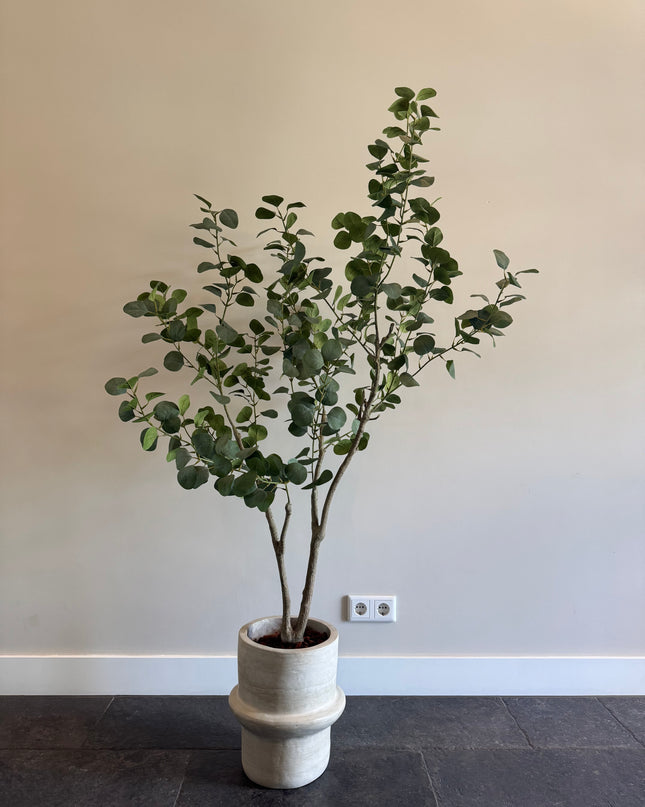 Luxury Artificial Plant - Silk Eucalyptus Plant – 155 cm