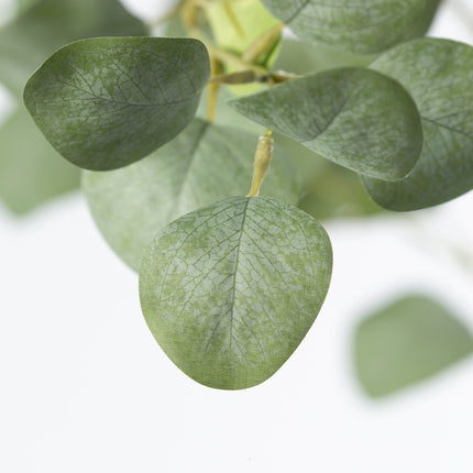 Luxe Kunstplant - Zijden Eucalyptus plant – 155 cm