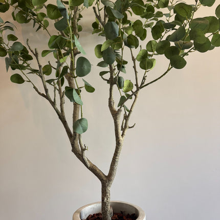 Pianta artistica di lusso - Pianta di eucalipto di seta – 190 cm