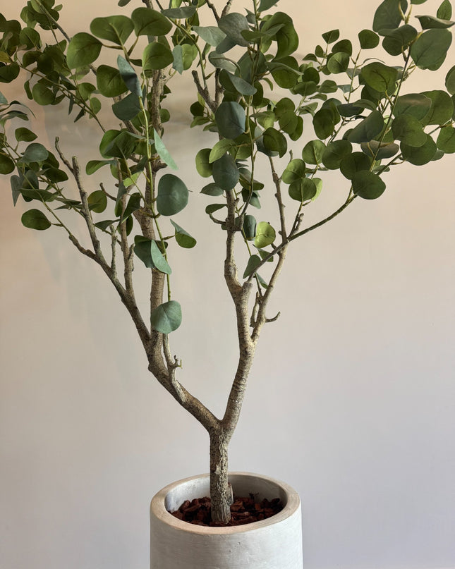 Luxury Artificial Plant - Silk Eucalyptus Plant – 190 cm