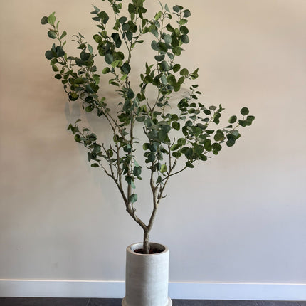 Pianta artistica di lusso - Pianta di eucalipto di seta – 190 cm