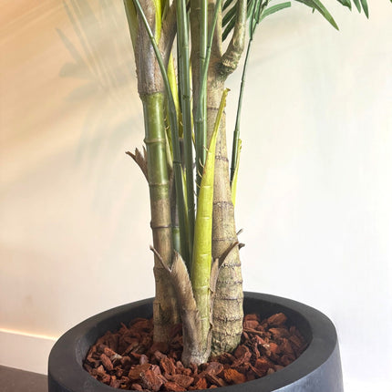Luxe Kunstplant - Zijden Palm Tree 250cm
