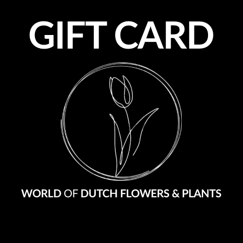 Cadeaubon - World of Dutch Flowers & Plants