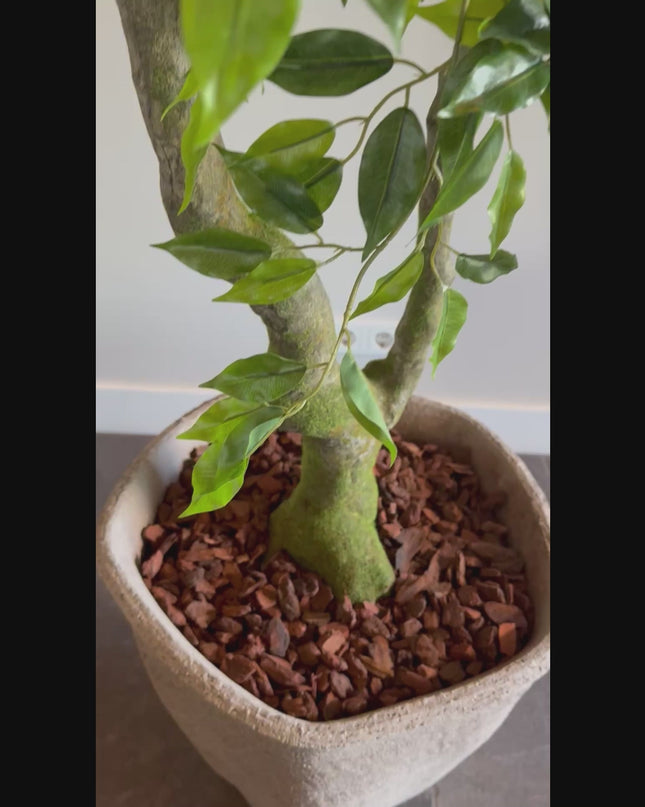 Luxe Kunstplant - Zijden Ficus Benjamina  210 cm