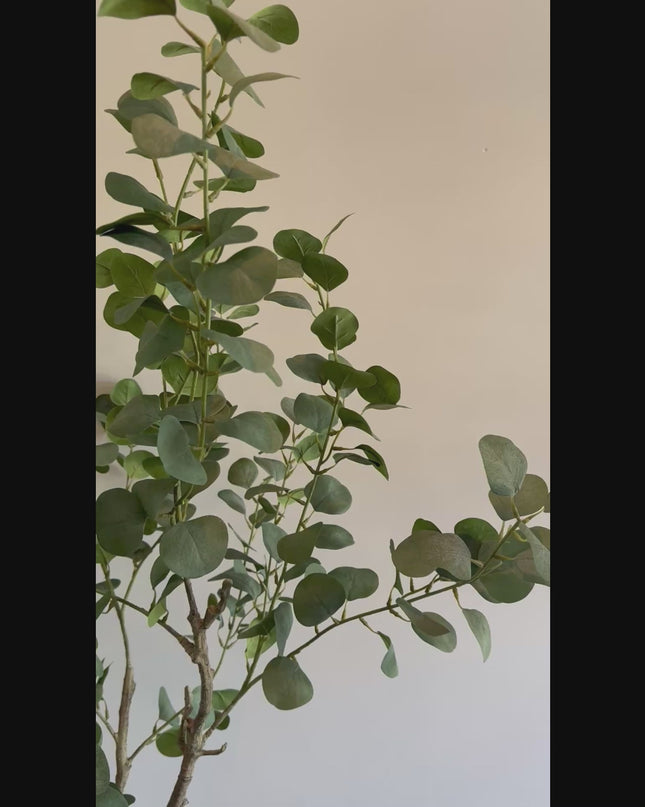Luxury Artificial Plant - Silk Eucalyptus Plant – 190 cm