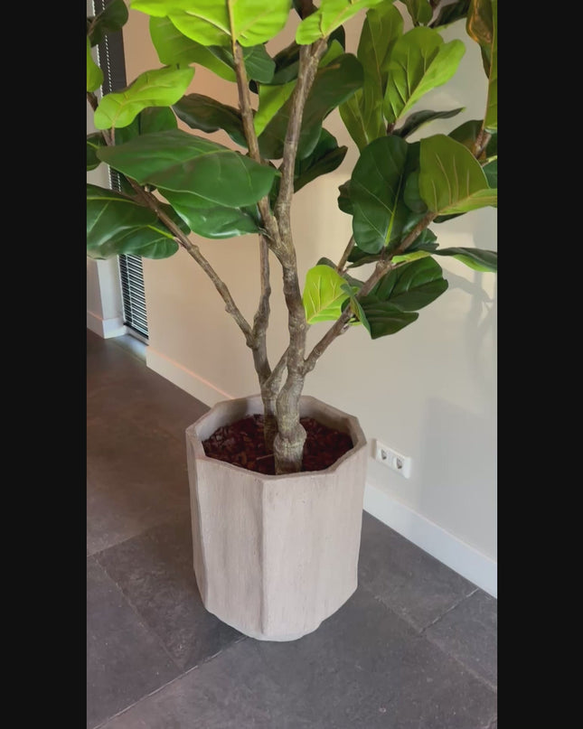 Luxe kunstplant - Zijden Ficus Lyrata – 220 cm