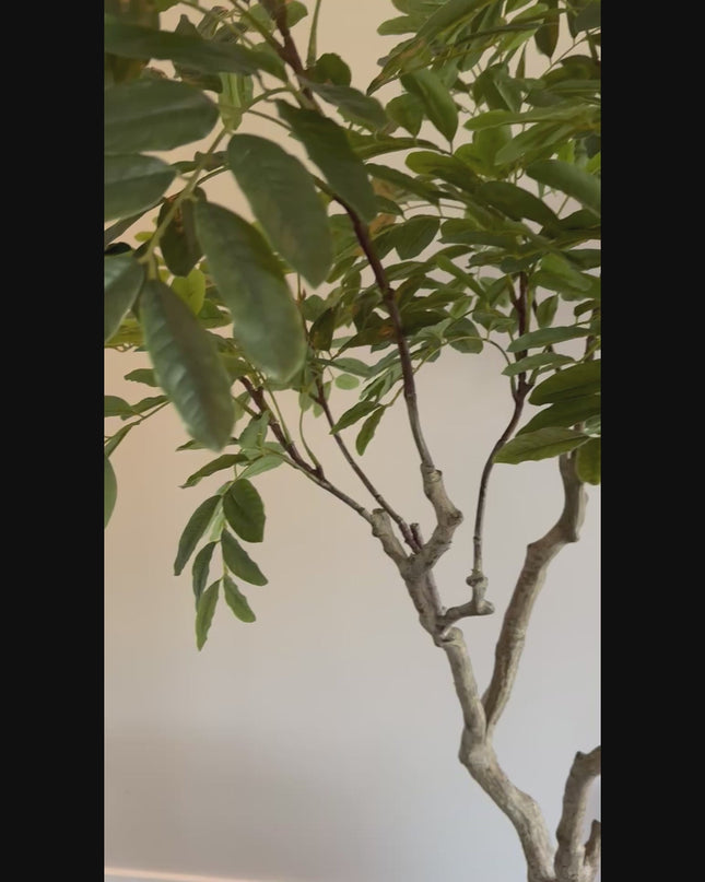 Luxe Kunstplant - Zijden Khaya – 180 cm