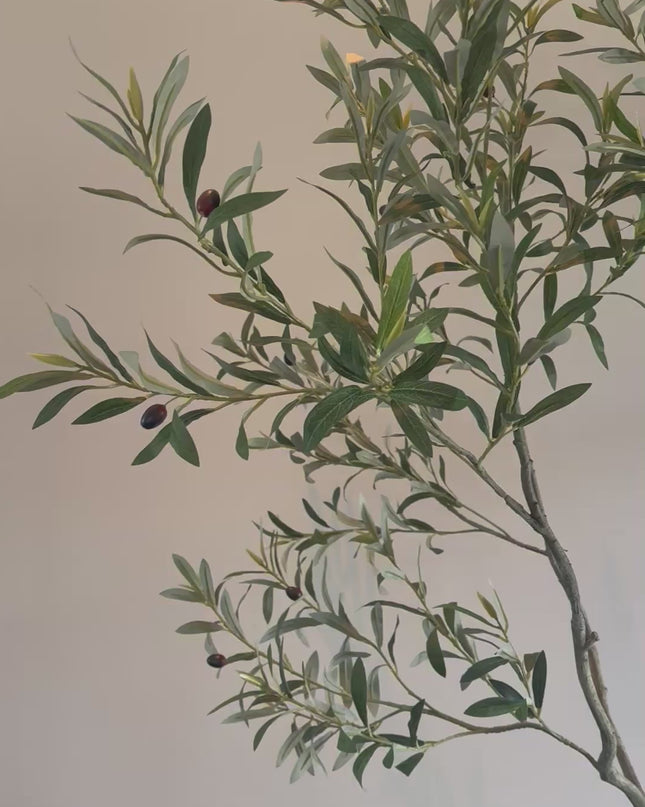 Luxe Kunstplant - Zijden Olijfboom – 240 cm