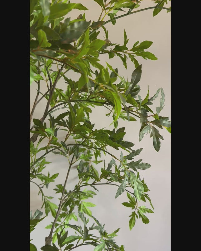 Luxe Kunstplant - Zijden Aralia Plant 175 cm