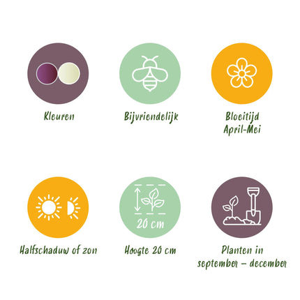 Bloembollen - Fritillaria Meleagris Mix - Kleur Paars en Wit - 30 stuks - Bolmaat 6/7 - XXL Pack