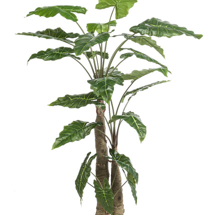 Kunstplant - Alocasia - Olifantsoor - ↕ 180 cm