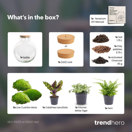 DIY Planten terrarium (met verlichting) - Bolder Bob - Ø 31 cm ↕ 30 cm - No tools