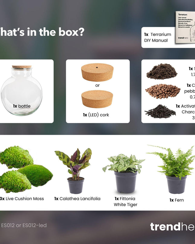 DIY Planten terrarium (met verlichting) - Bolder Bob - Ø 31 cm ↕ 30 cm - No tools