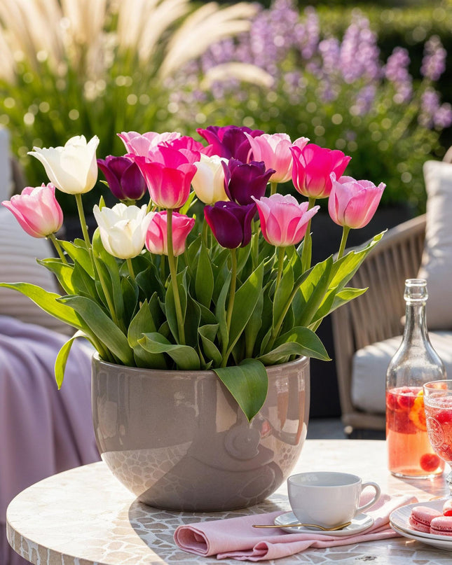 Bloembollen - Tulp Pastel mix - Diversen Kleuren - 12 stuks - Bolmaat 11/12 - XXL Pack