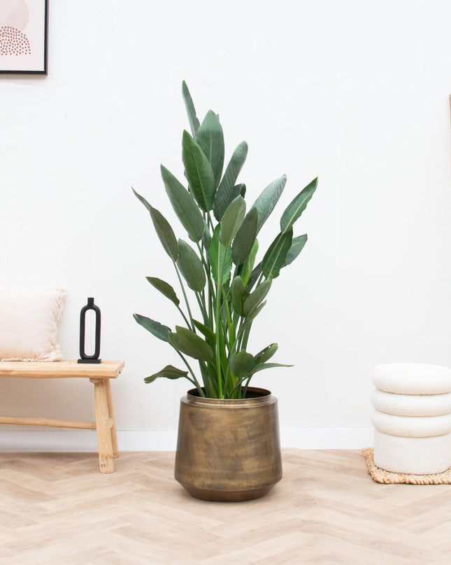 Pot Indigo Vintage Gold - D58 x H51