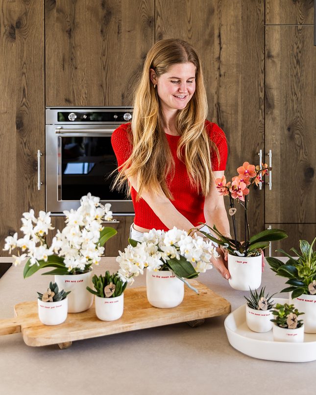 Orchid | Gift set 'love you' | Red Phalaenopsis orchid Congo with green plant in love decorative pots on Cloud plate