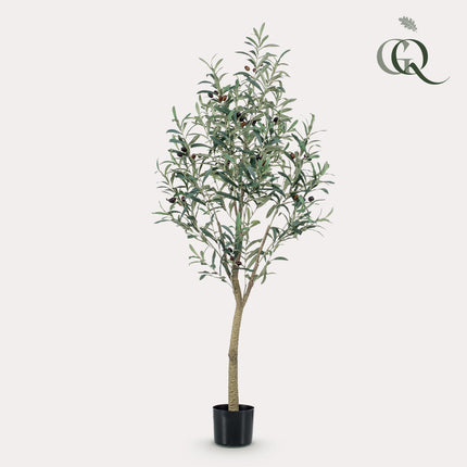 Kunst Olijfboom -  Olea europaea - Olijfboom - ↕ 140 cm